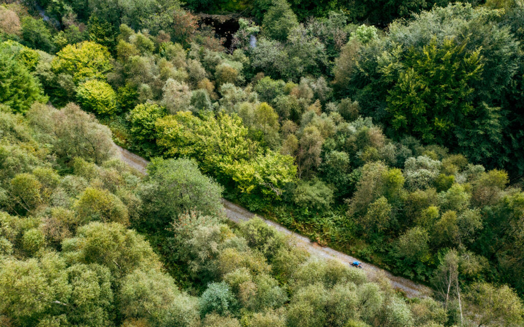 A lone rider through the forest of the Trossachs.